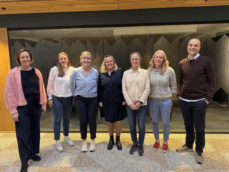 Allergisykepleierne NSF 2025