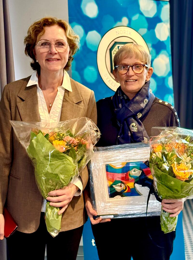 Årets Sykepleiepriser 2025 - Prisvinnere Nordland