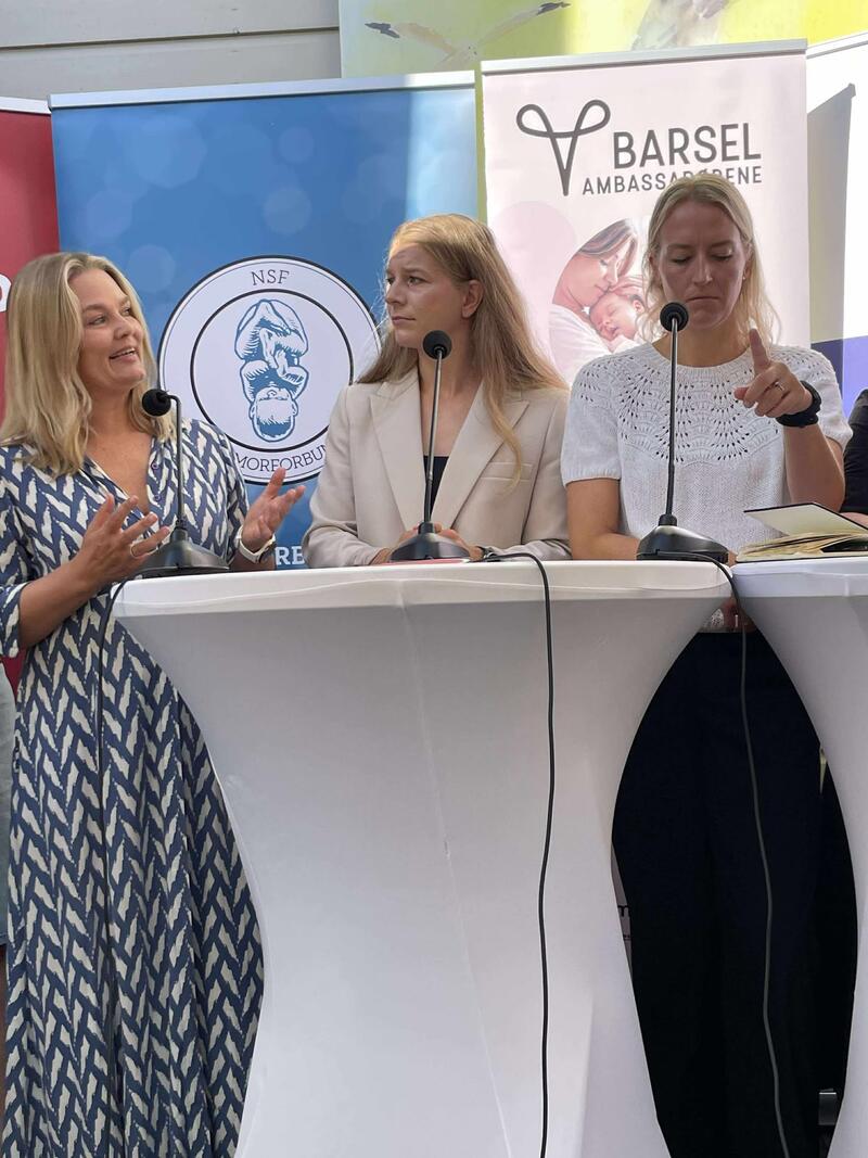 Hanne Charlotte Schjelderup Debatt Arendalsuka